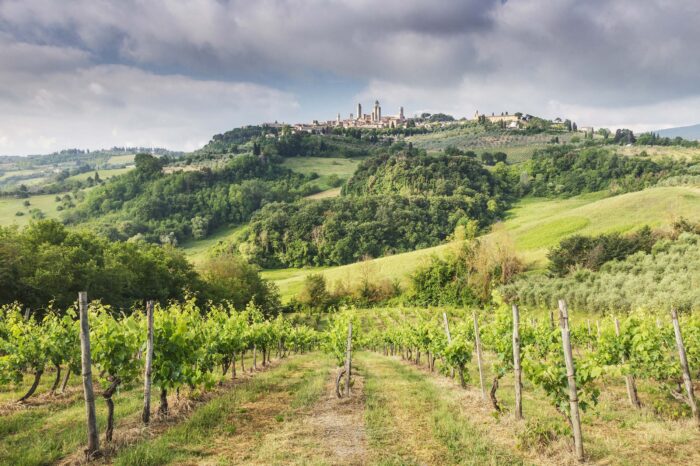Discovering the Amazing Treasures of Tuscany