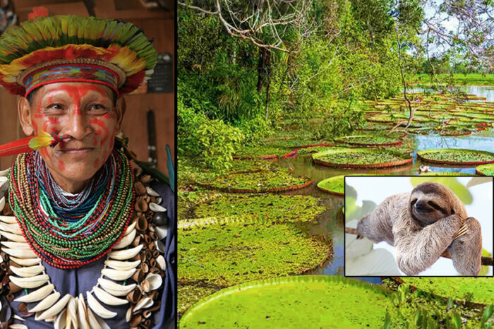 A Journey of Discovery in the Amazing Amazon