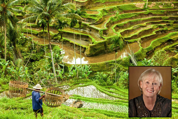 Exploring the Arts, Crafts, Batiks & Culture of Bali