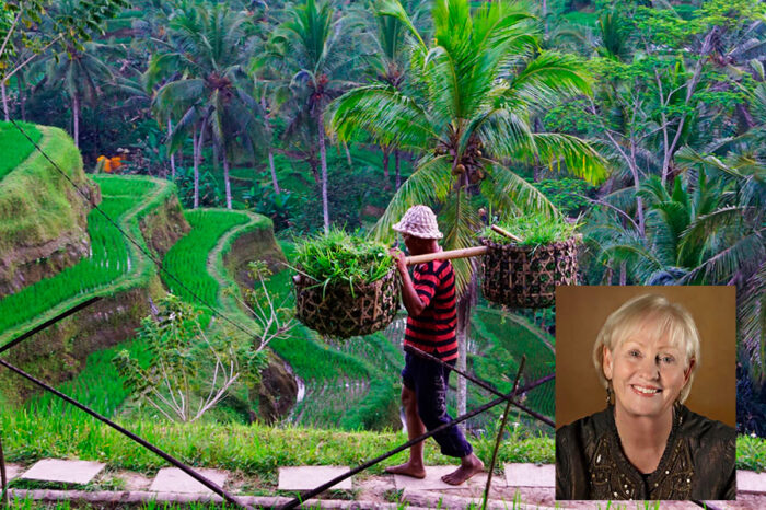 Exploring the Arts, Crafts, Batiks & Culture of Bali