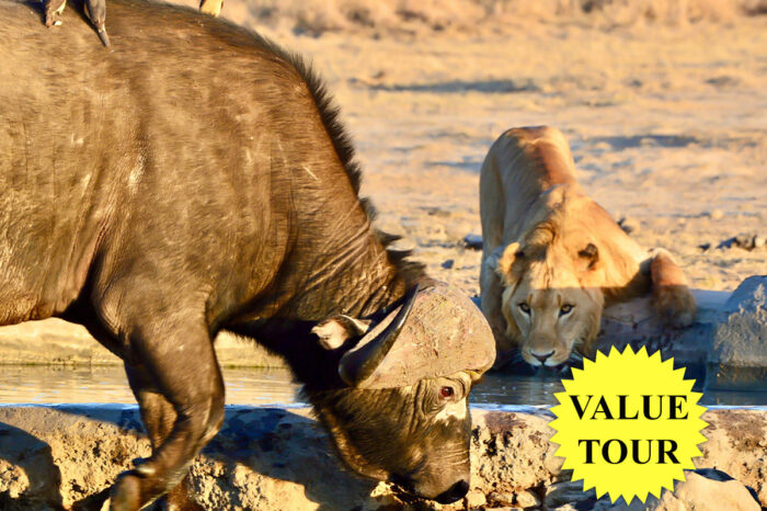 An Extraordinary Safari Expedition and Adventure in Kenya