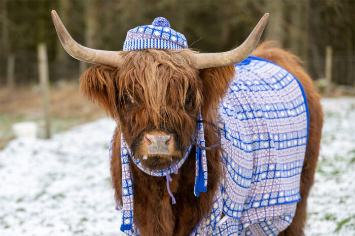 11-day Crochet & Knitting Adventure in beautiful Scotland