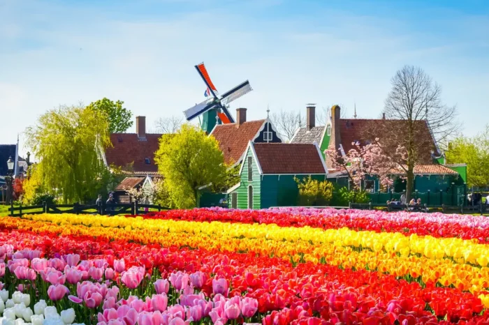 10-DAY NETHERLANDS