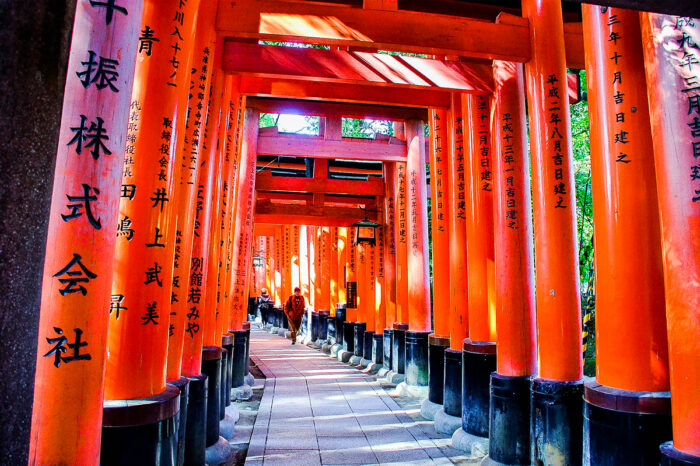 9-DAY JAPAN