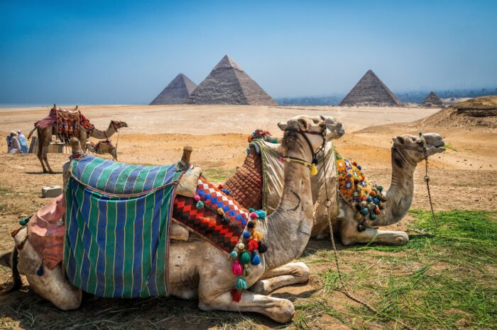 10-DAY EGYPT WITH BONNIE HUNTER
