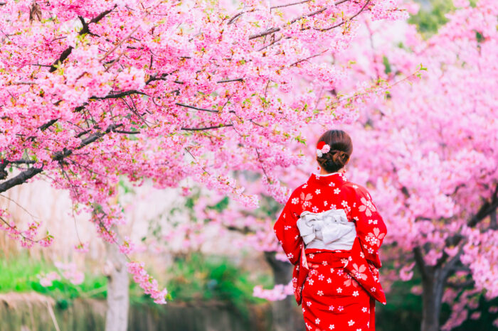 Mixed media adventure in Japan with Seth Apter!