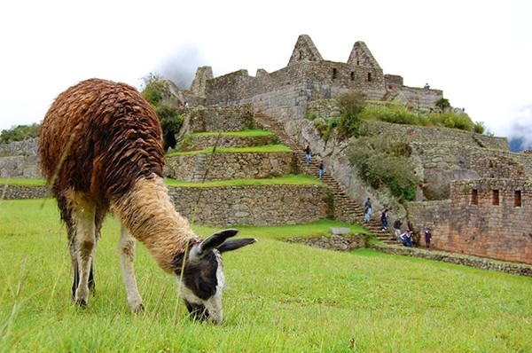 Discovering the Arts & Crafts of Peru