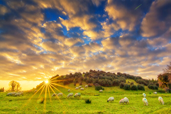 Exploring the Treasures, Crafts, Sights, Food and Patchwork Landscapes of Beautiful Ireland