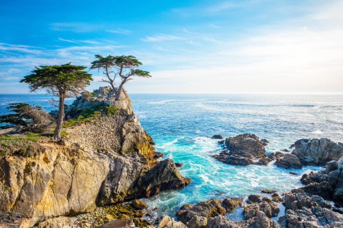8-DAY PACIFIC COAST HIGHWAY