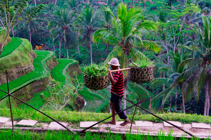 Exploring the Arts, Crafts, Batiks & Culture of Bali