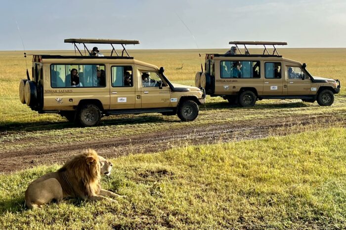 Deluxe Safari Adventure in Kenya