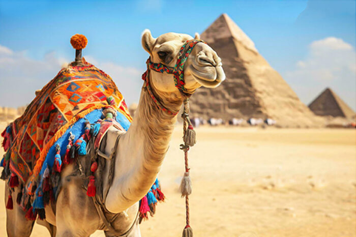Discovering Ancient Wonders Along the Nile River in Egypt