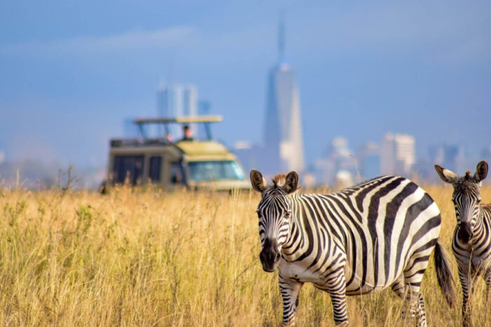 An Extraordinary Safari Adventure in Kenya