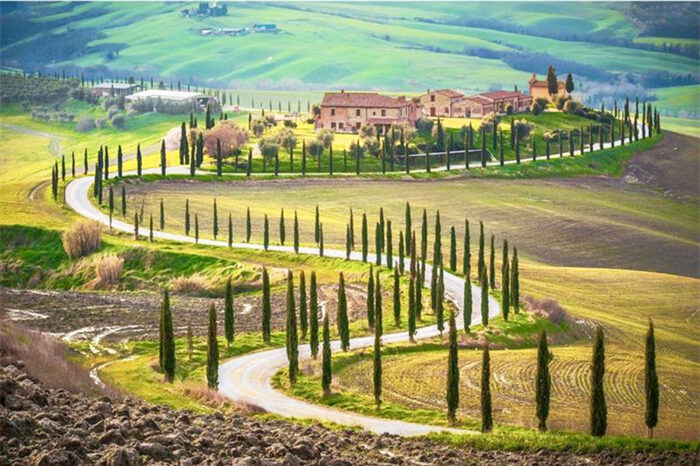 Painting the Picturesque Landscapes of Beautiful TUSCANY & CHIANTI