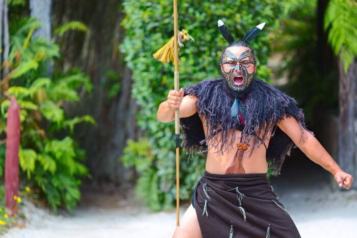 Exploring the Landscapes, Culture, Traditions and Crafts of New Zealand