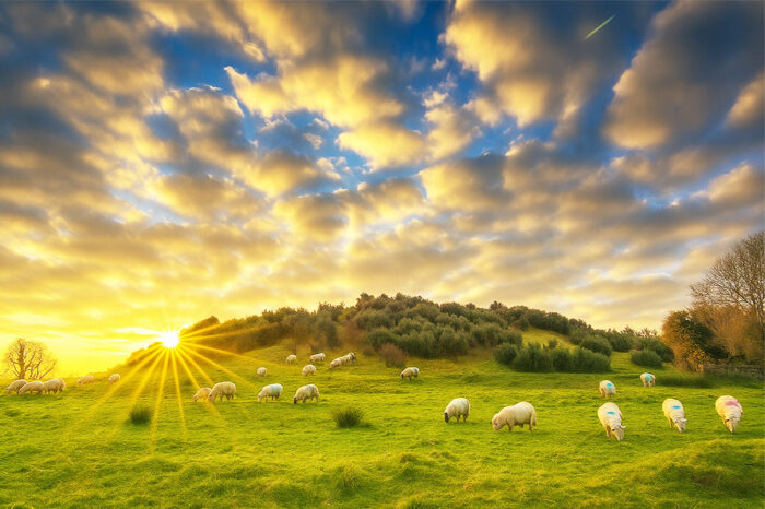 Discovering the Celtic Treasures of Ireland