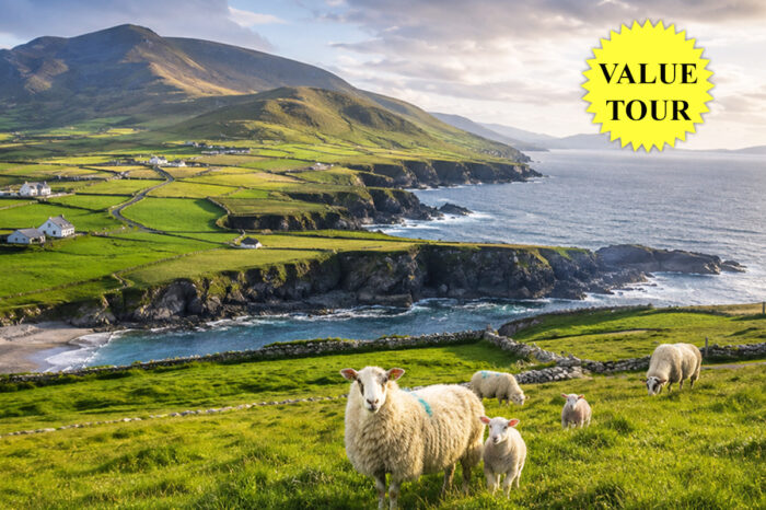 Discovering the Arts, Crafts & Treasures of Ireland