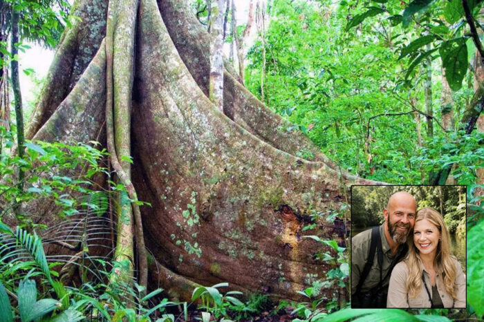 A Couples’ Escape Exploring the Rainforest Wonders of the Amazing Amazon